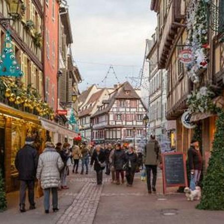Gite Hyper Centre 10 Pers Colmar Exterior foto